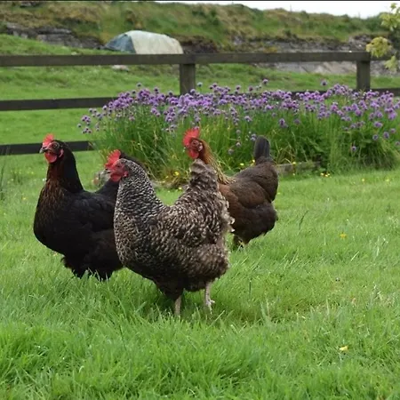 בית נופש Heather *